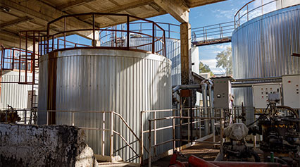 Анаэробная ферментация